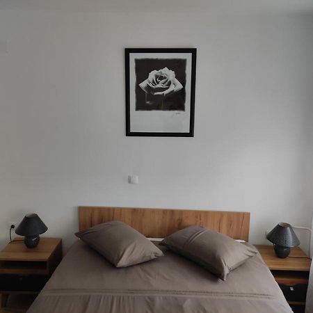 Апартаменты Studio Apartman Rose Плитвицкие озёра Экстерьер фото