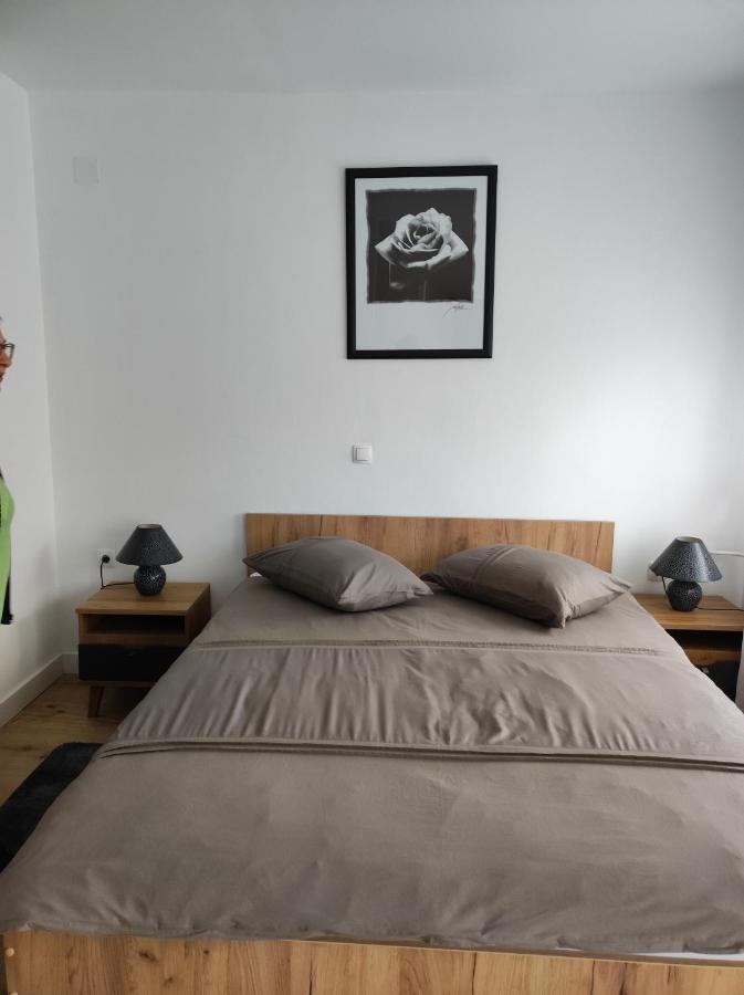 Апартаменты Studio Apartman Rose Плитвицкие озёра Экстерьер фото